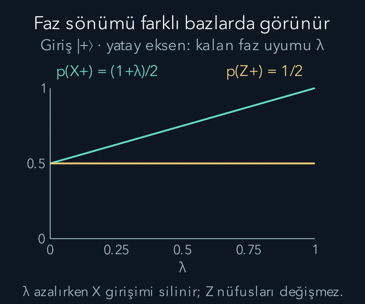 Faz sönümünde Z nüfusları sabitken X ölçümündeki girişim farkı azalır.