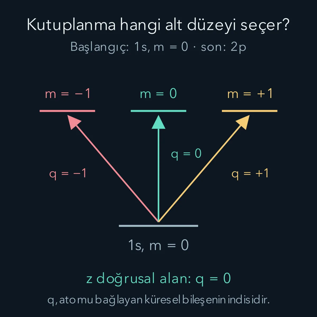 1s durumundan 2p izdüşümlerine, konumun q eksi bir, sıfır ve artı bir bileşenlerinin seçtiği bağlantılar.
