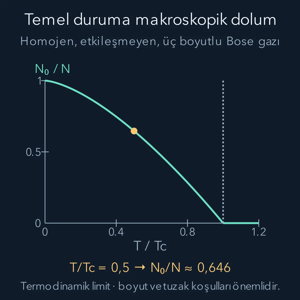 Üç boyutlu homojen ideal Bose gazında temel durum kesrinin sıcaklıkla azalması; kritik sıcaklığın yarısında yaklaşık yüzde 64,6 temel durumdadır.