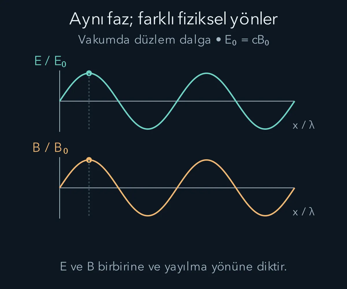İlerleyen düzlem dalgada elektrik ve manyetik alanın normalize edilmiş, aynı fazlı profilleri.
