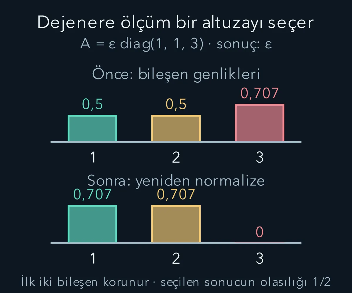 Dejenere özdeğer tek bir vektörü değil bir altuzayı seçer.