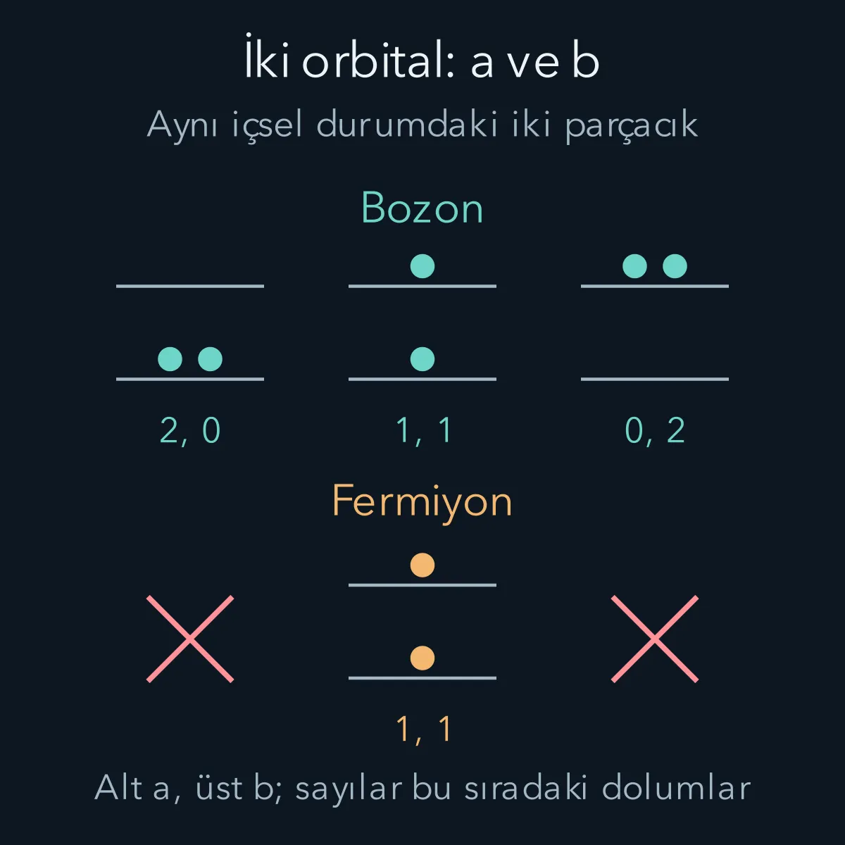 İki uzaysal orbital için simetrik ve antisimetrik dolum olanakları; fermiyon satırı aynı içsel spin durumuyla sınırlıdır.