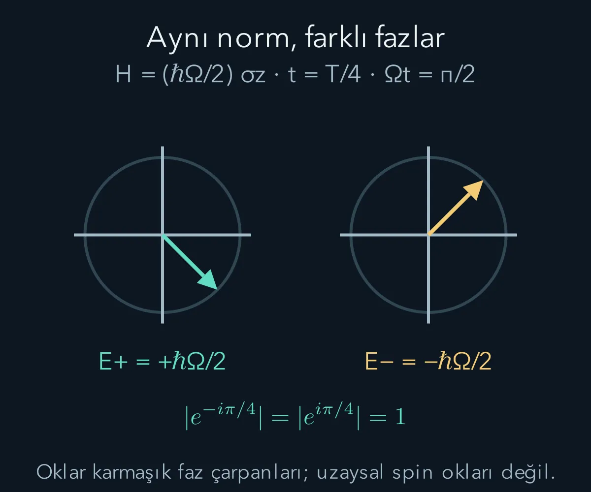 İki enerji bileşeninin fazları farklı hızlarla döner, normları sabit kalır.