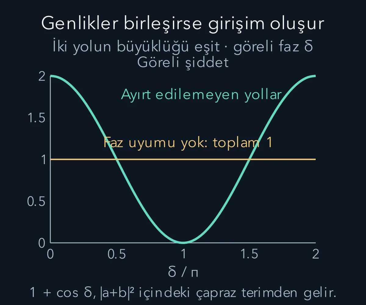 İki yolun genlikleri toplanınca girişim terimi oluşur; ayrı olasılık toplamında bu terim yoktur.