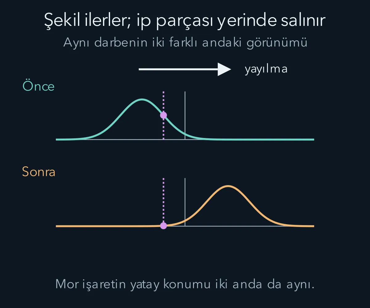 Aynı dalga şeklinin sağa ötelenmesi ve sabit bir ip noktasının düşey hareketi