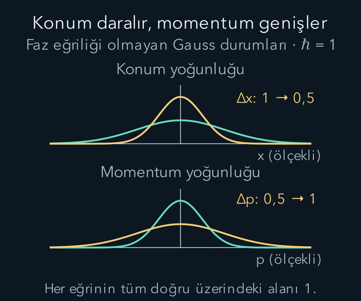Konum paketi daraldıkça momentum dağılımı genişler; iki grafik ayrı eksen birimlerine sahiptir.