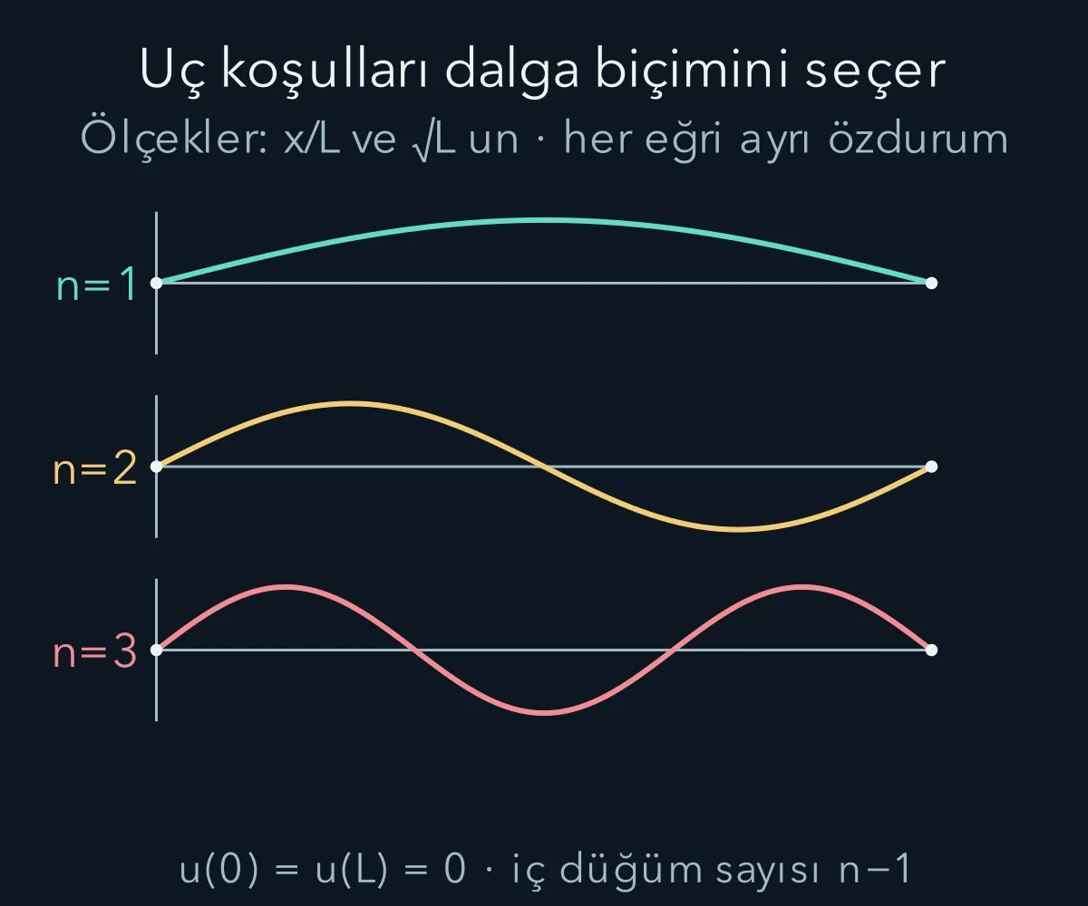 İlk üç kutu özfonksiyonu uçlarda sıfır olur ve içeride artan sayıda düğüm taşır.
