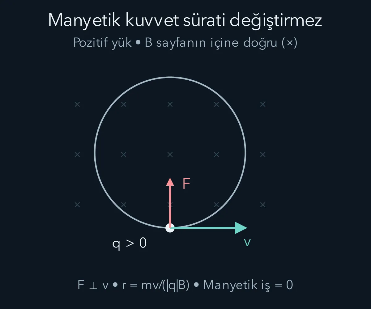Düzgün alanda pozitif yükün hızı ve merkez yönündeki manyetik kuvveti.
