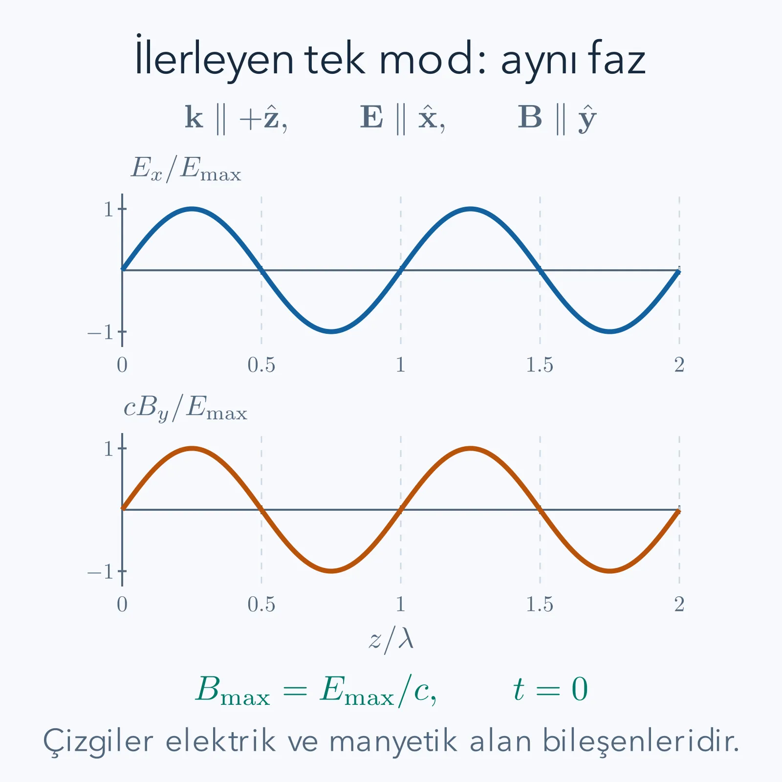 İlerleme yönü z olan bir düzlem dalgada elektrik alan x ve manyetik alan y doğrultusundadır; iki alanın fazı aynı, yönleri birbirine diktir.
