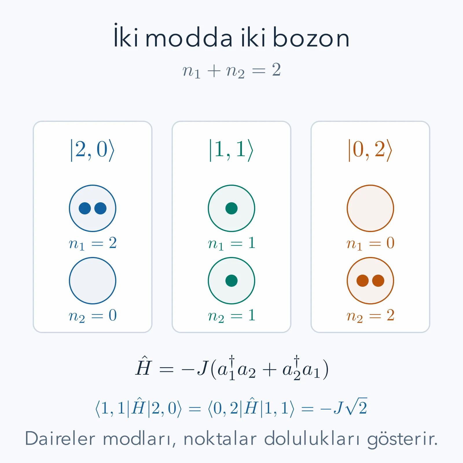 İki bozonun iki moda dağılımı: 2,0 ile 1,1 ve 0,2 durumları; komşu doluluklar arasında karekök iki genlikli aktarım.