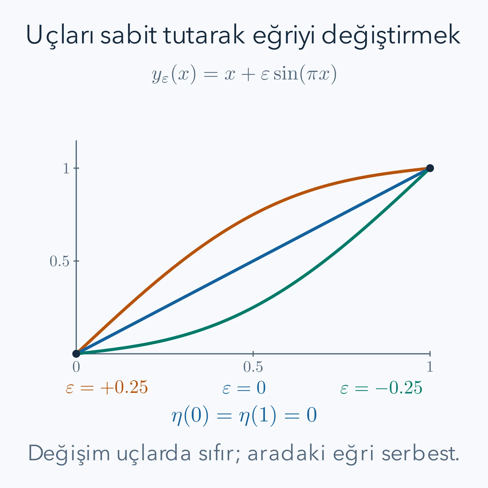 Aynı uçları koruyan bir doğru ve iki eğri; değişim şekli uçlarda sıfırlanır.