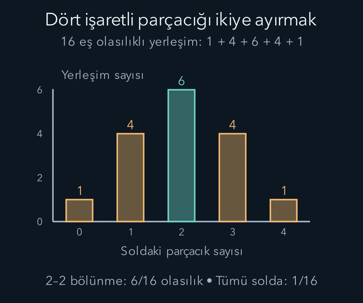 Dört işaretli parçacığın iki bölmeye dağılımında makrodurum sayıları