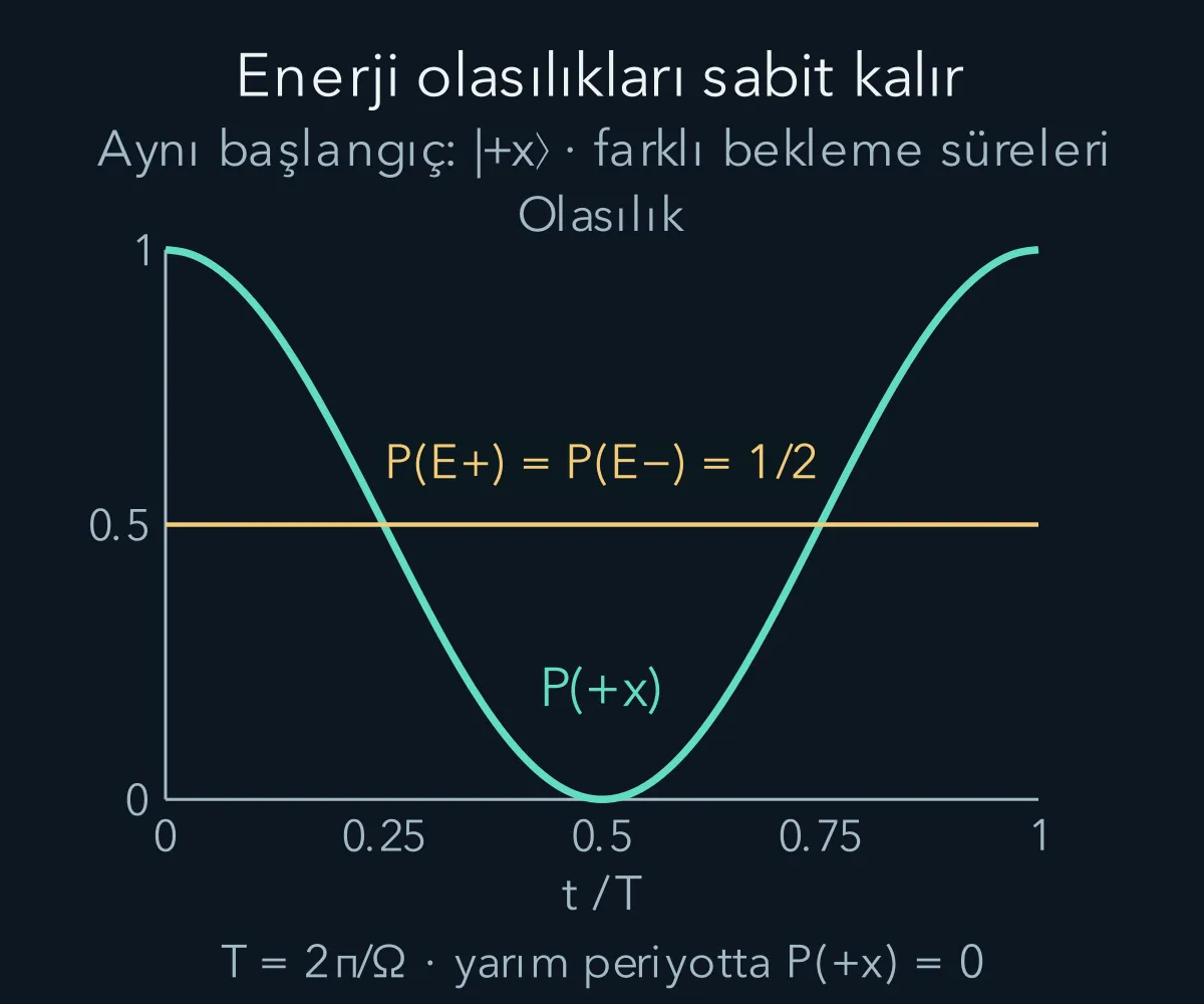 İki düzeyli sistemde enerji olasılıkları sabitken x ölçüm olasılığı zamanla salınır.