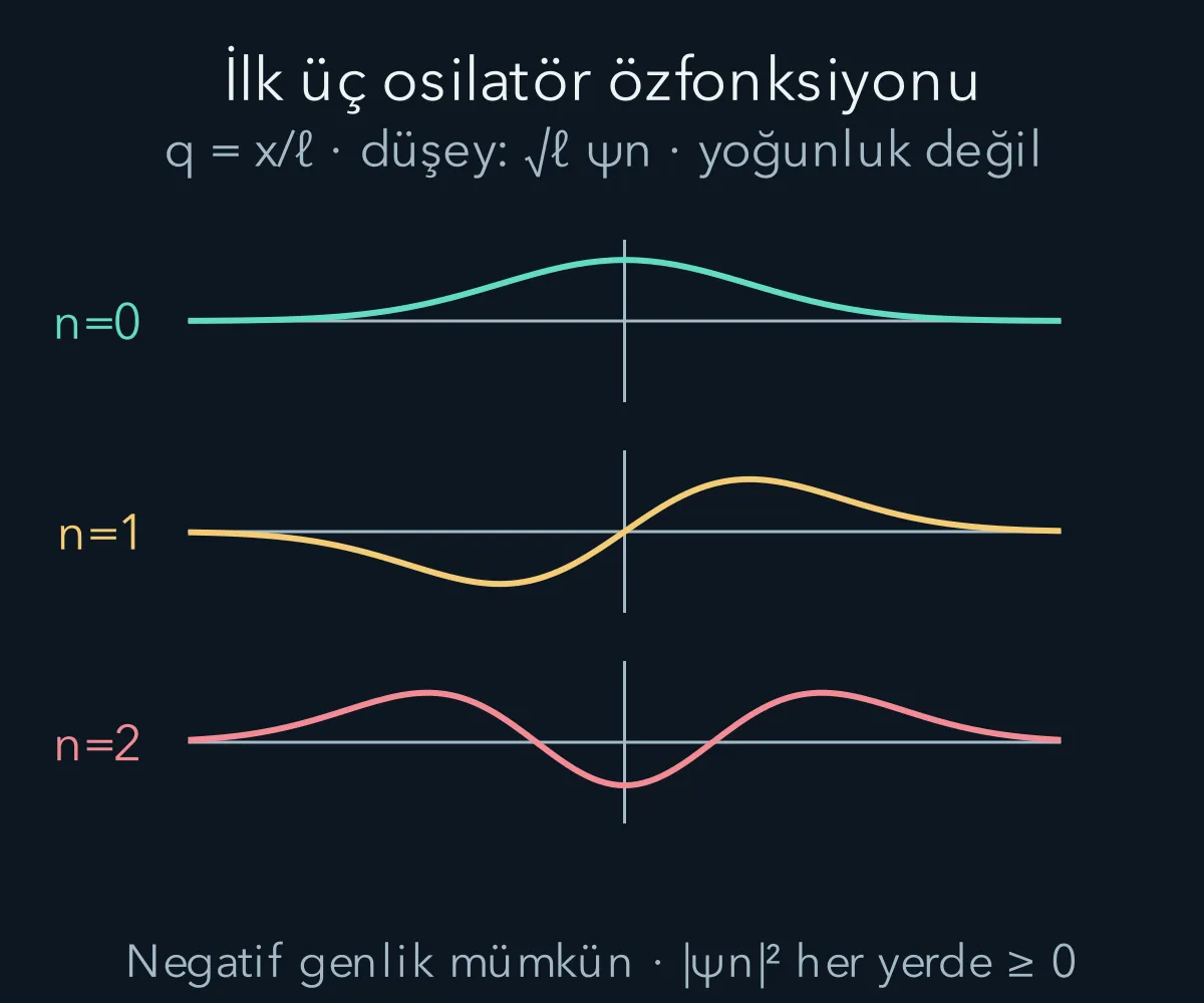 Temel ve ilk uyarılmış osilatör fonksiyonları aynı Gauss zarfına bağlı farklı düğüm yapıları taşır.