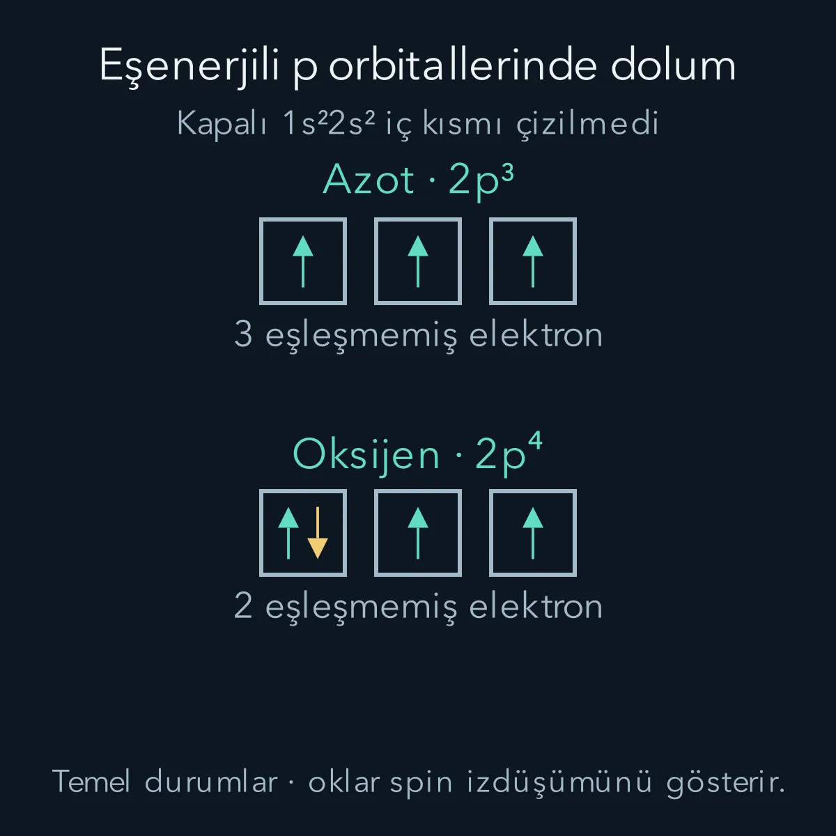 Azotun üç p orbitalinde birer paralel ok; oksijende bir orbitalde ters yönlü çift ve diğer iki orbitalde birer ok.