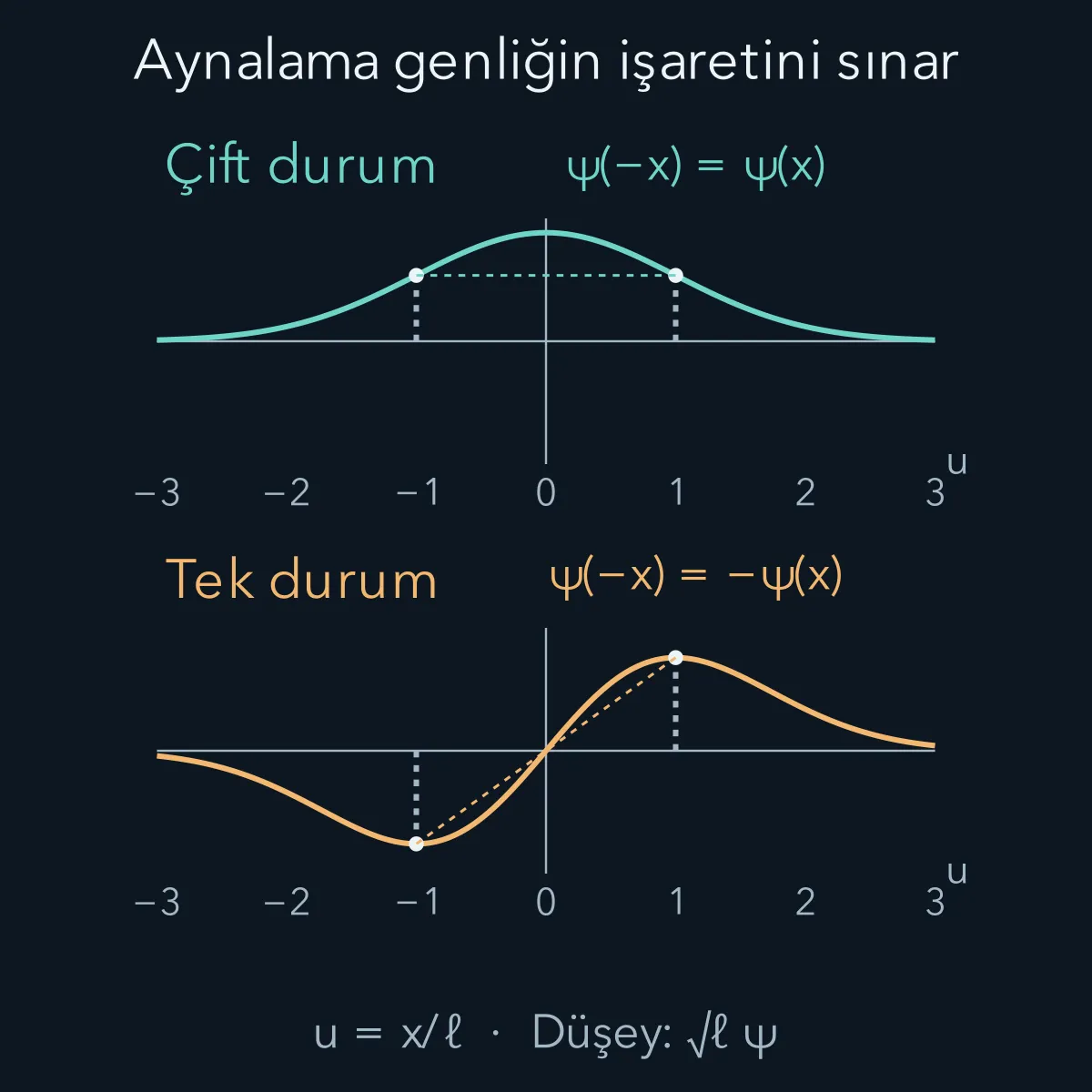 Çift ve tek dalga fonksiyonlarının aynalama altındaki farklı işaretleri.