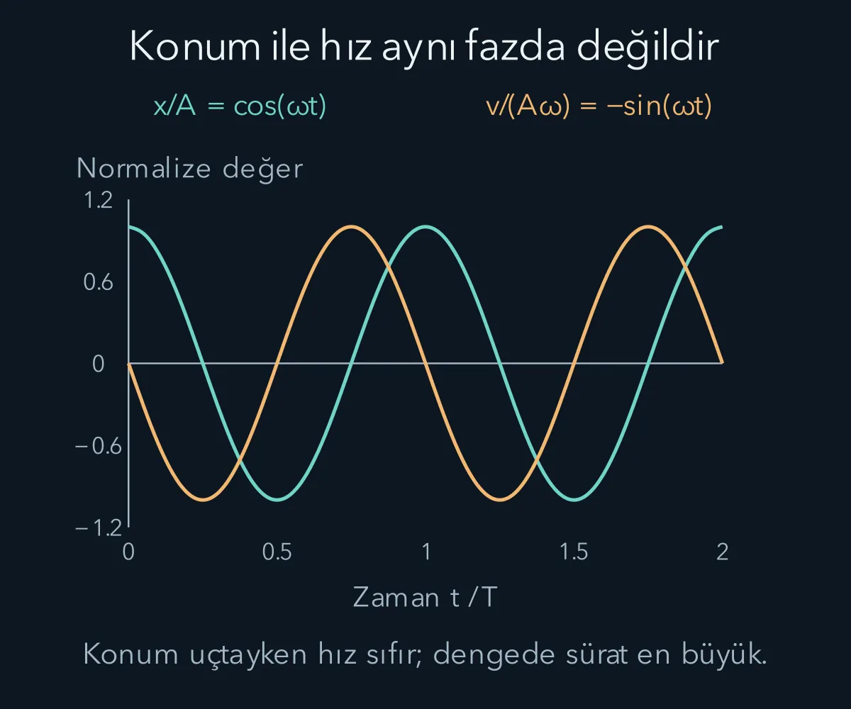 Denge çevresinde hareket eden kütlenin konumu ile hızının çeyrek çevrim farkı