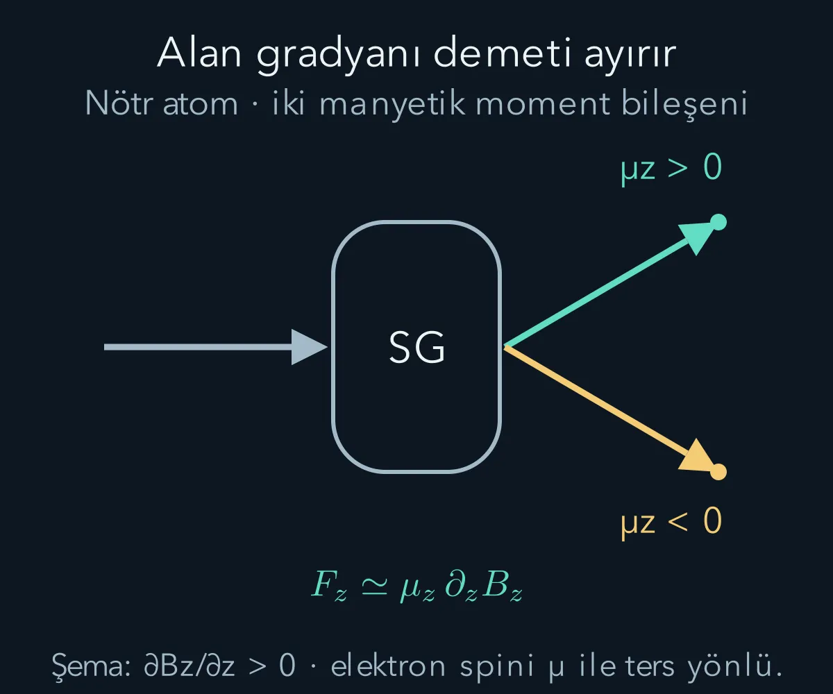 Düzgün olmayan alan iki manyetik moment bileşenini iki ayrı çıkışa ayırır.