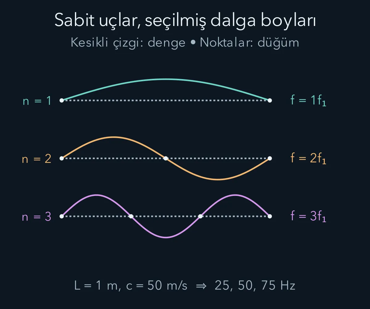 İki sabit uç arasında ilk üç normal modun düğümleri